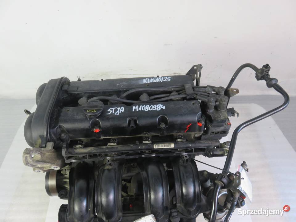 SILNIK FORD FIESTA MK6 VI 125 60 STJA