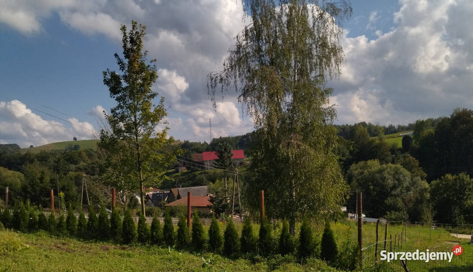 Działka budowlana w Sudetach Zachodnich Strzyżowiec