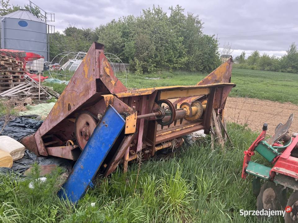 Kombajn Bizon Z056 super heder do kukurydzy świętokrzyskie Pilczyca