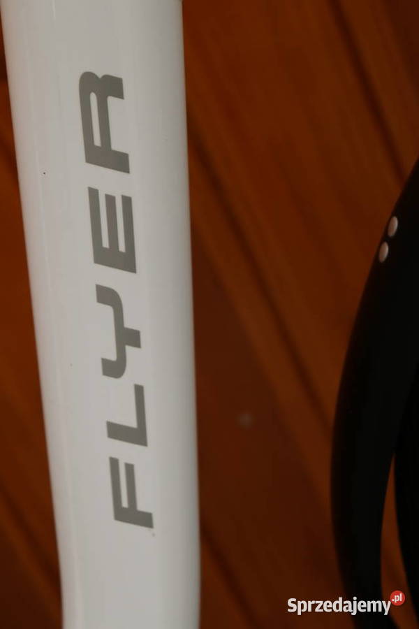 Rower elektryczny Flyer PanasonicD 45 I inne Milanówek