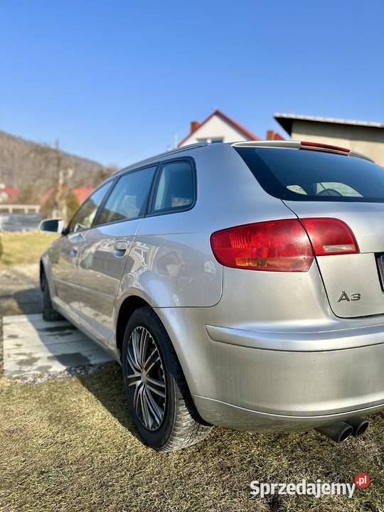 Audi A3 20 TDI 190 2006 Zadbane Bezwypadkowe srebrny