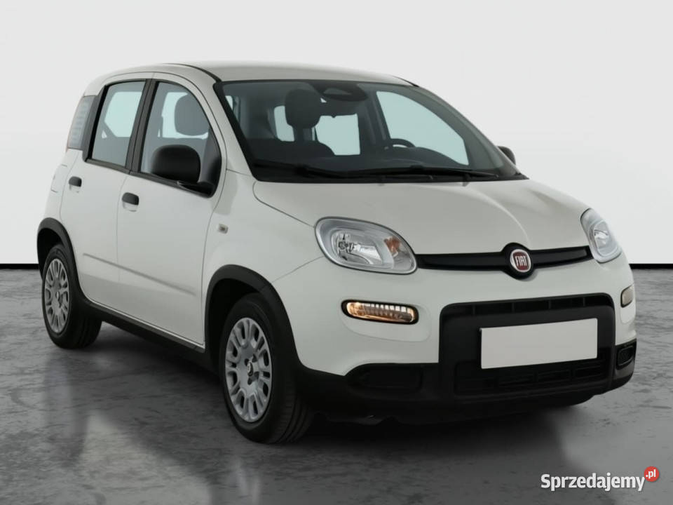 Fiat Panda 10 FireFly