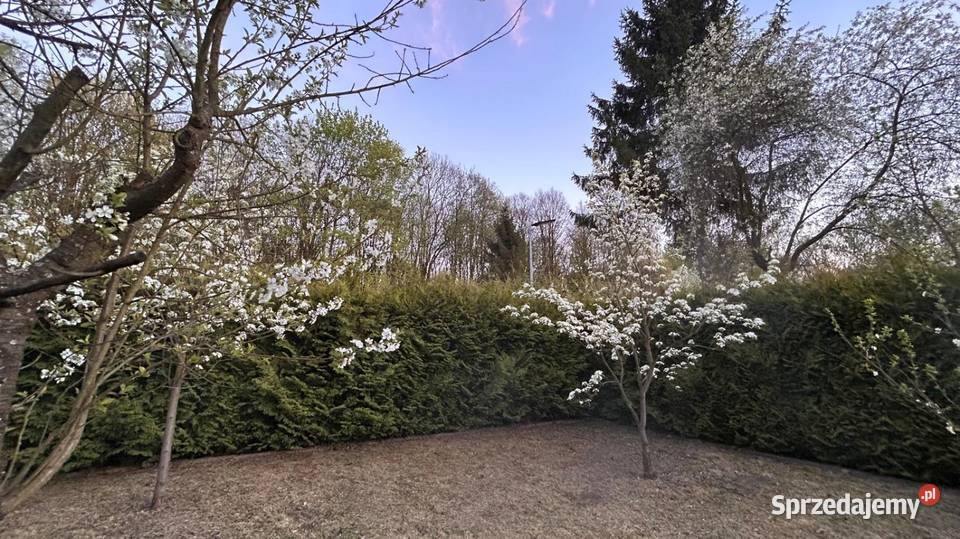 Sprzedam ogródek działkowy obok Parku Śląskiego śląskie Chorzów