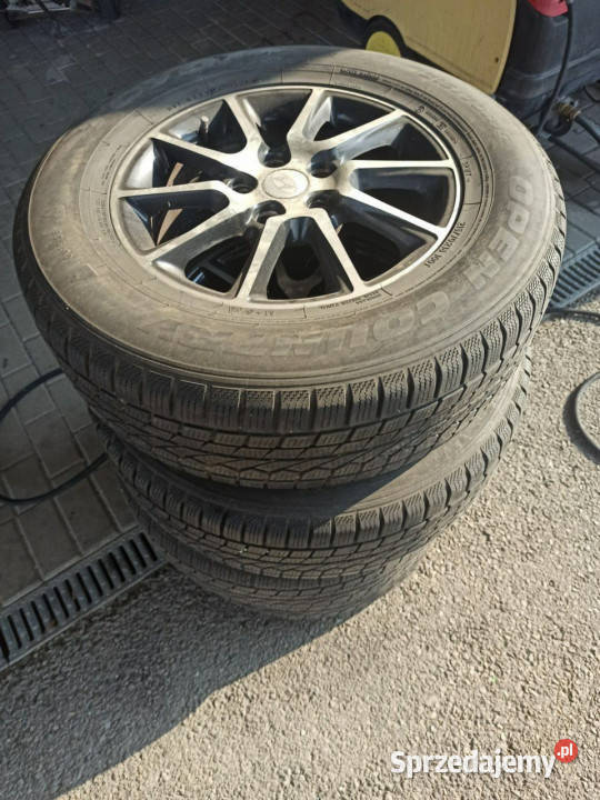 salon II właściciel bezwypadkowy