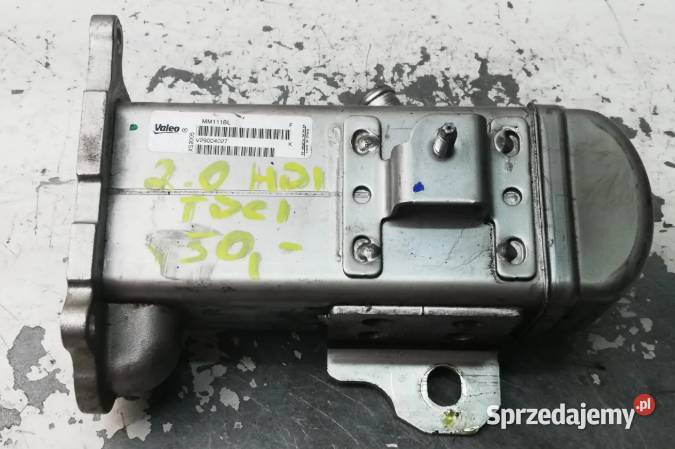 Chłodnica Spalin Ford Peugeot 20 TDCI V29004027 Suchedniów sprzedam