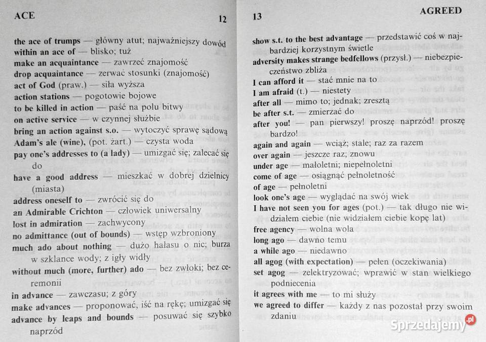 Angielskopolski słownik idiomów i zwrotów Piotr