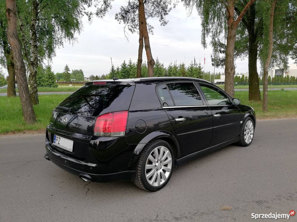 Opel Signum 30 V6 Full Xenon Lodówka Skóry Navi Signum Poznań