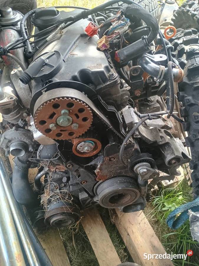 Silnik skrzynia biegów automat passat B5 19tdi Kodeń