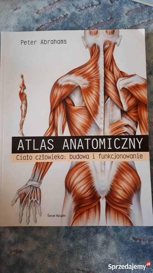 Atlas anatomiczny Peter Abrahams Kielce