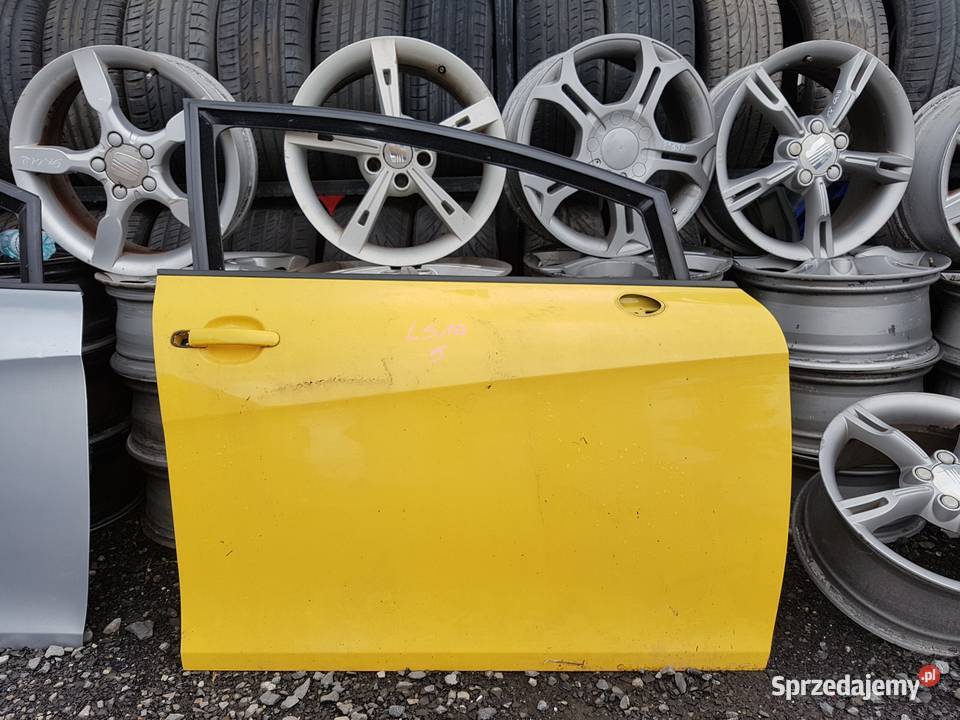 leon 2 II drzwi LS1A pp prawe przód przednie Drzwi mazowieckie Żerdź