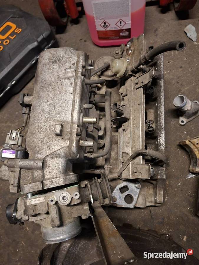 Honda accord vi 20 F20B6 alternator części podkarpackie Łańcut