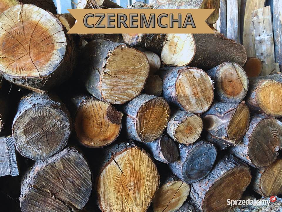 Drewno opałowe kominkowe liściaste dąb brzoza Libiąż