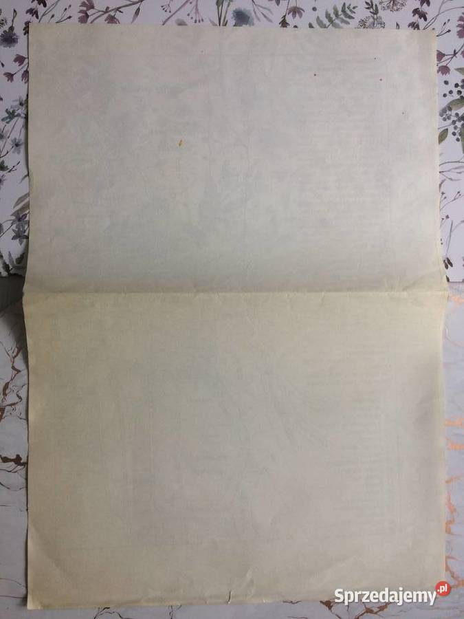 3838 Ksero Niemieckiej Mapy Gryfina