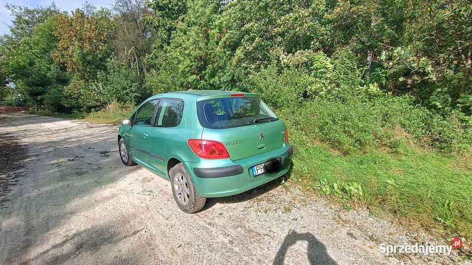 Sprzedam Peugeot 307 16 benzyna Zielona Łąka