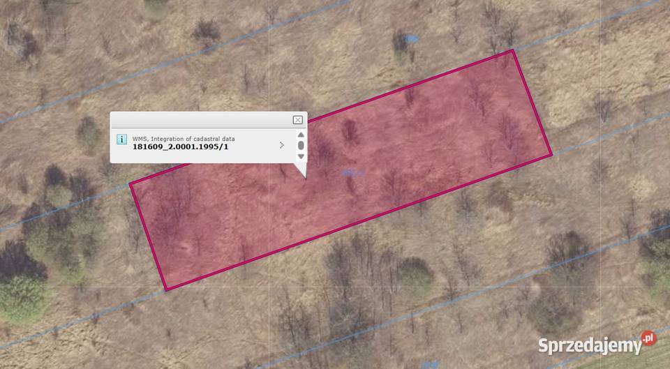 Działka rolna 19a Krasne 22.5m