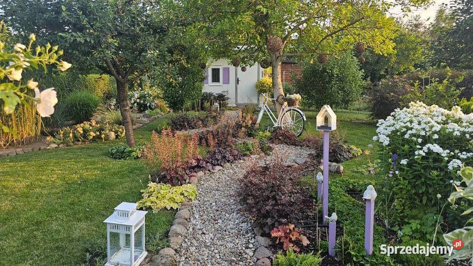 Działka ROD Wrzos w Radomiu Radom sprzedam