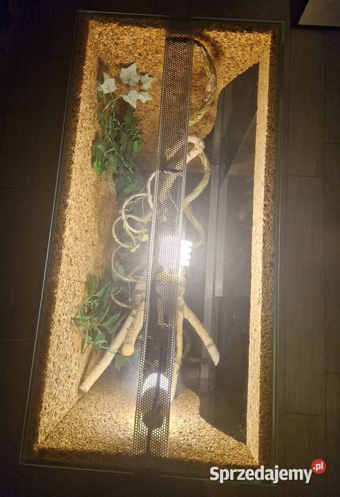 Sprzedam Terrarium szklane 80 396 85 2 lampy UVB Gdańsk