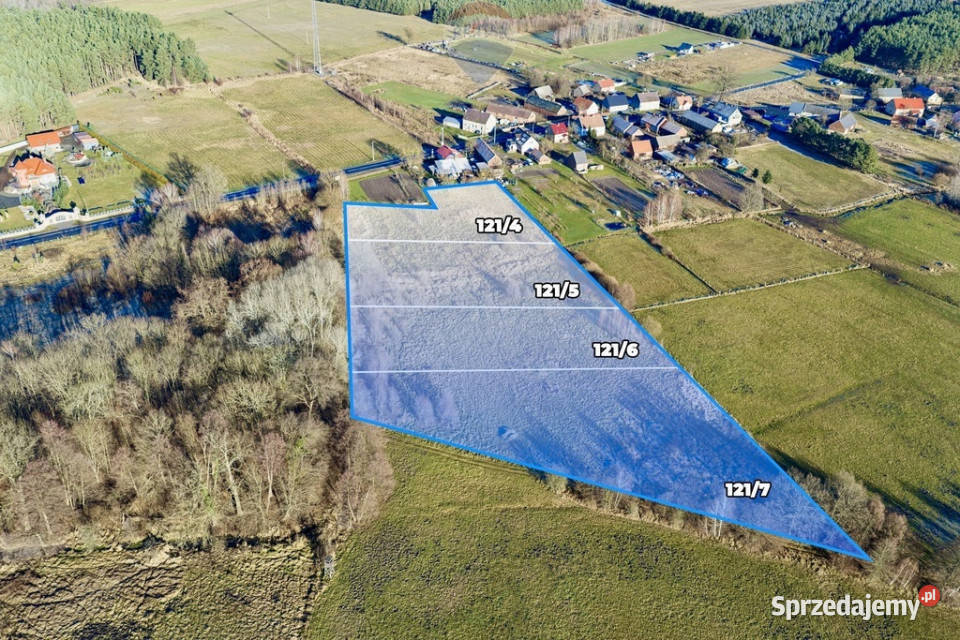 Na sprzedaż 4 działki rolne łącznie 18479 m lubuskie Chełm Żarski sprzedam