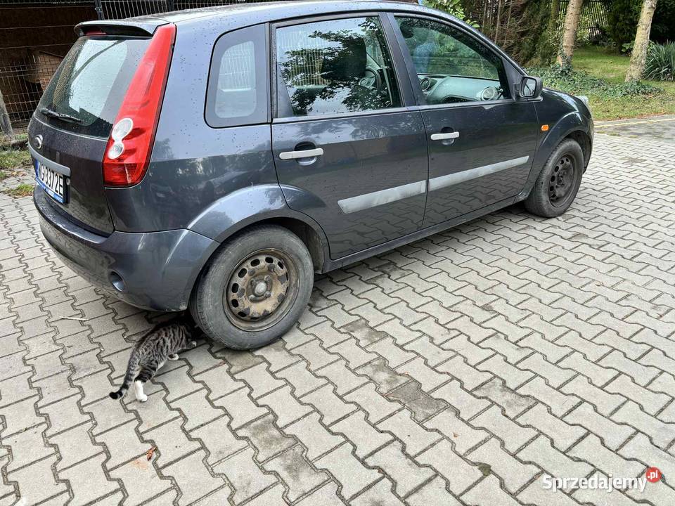 Ford Fiesta 13 Benzyna Wola Starogrodzka