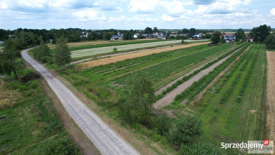 Działka Aleksandrów 2900m2