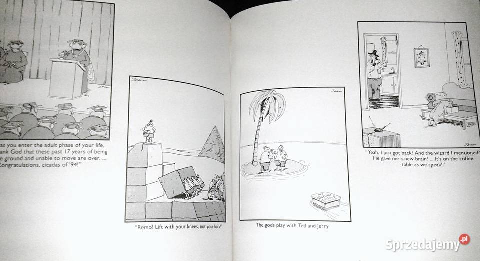 Last chapter and worse A far side collection Chełm sprzedam