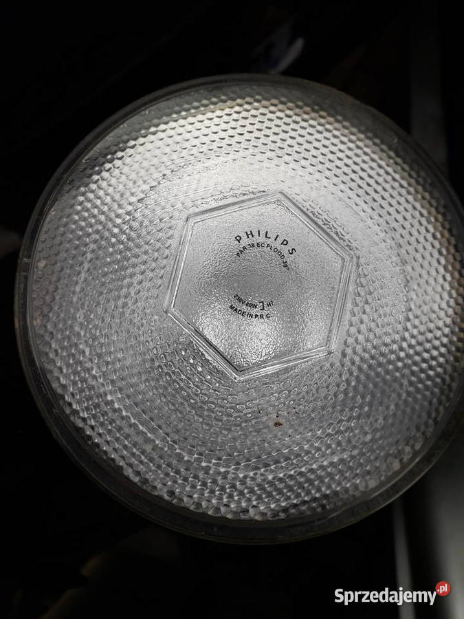 Lampy spot PAR ogrodowe ze szikulcem Warszawa