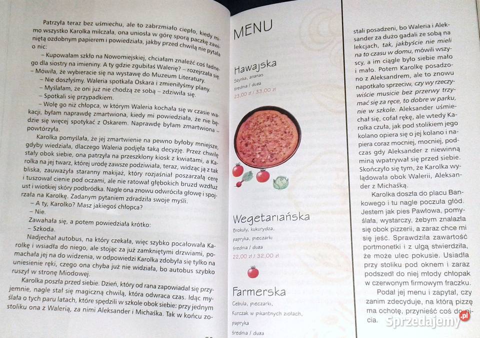 Wróć Aleksandrze Krystyna Siesicka Rok wydania 2001 Chełm