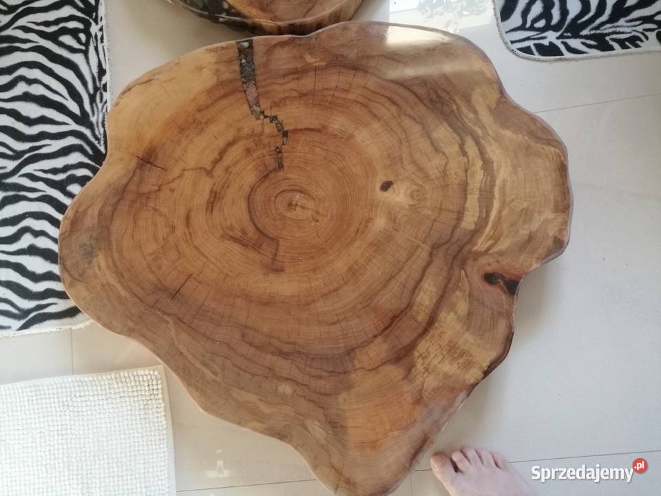 Stolik kawowy plaster dębu 67x72x7 jesiona wiązu