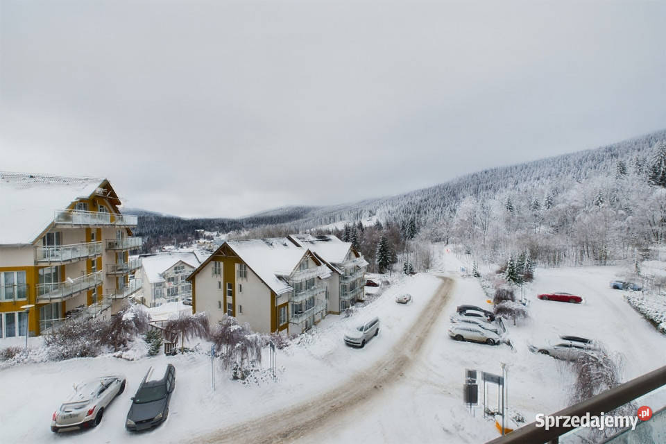Apartament w Czarnej Górze komfort i natura 3 piętra i więcej