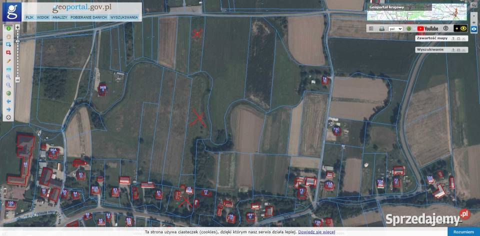 Sprzedam dom budynki gosp działki pow 111 ha 92m2 Sprzedaż Skrzyszów