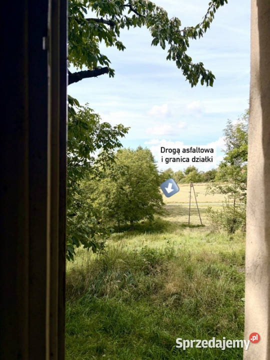 Dom murowany z działką 48 ar Wszystkie media