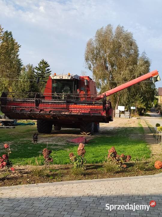 Massey Ferguson 40 rs nieuszkodzony Fajsławice sprzedam