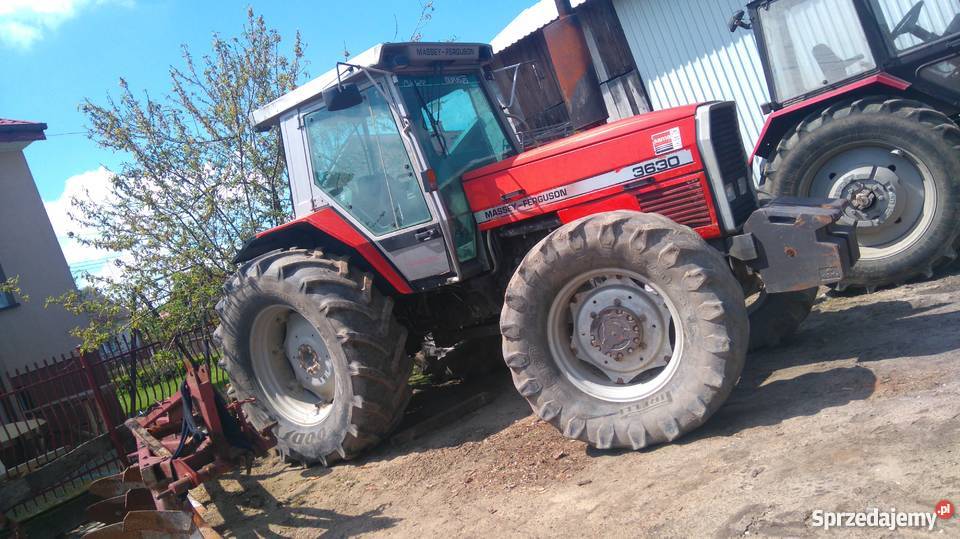 Massey ferguson 3630 Napęd 4x4 Wielgomłyny