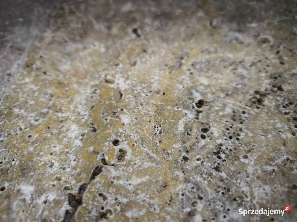 Płytki Trawertyn Scabos bębnowany 203x203x12 Gdynia