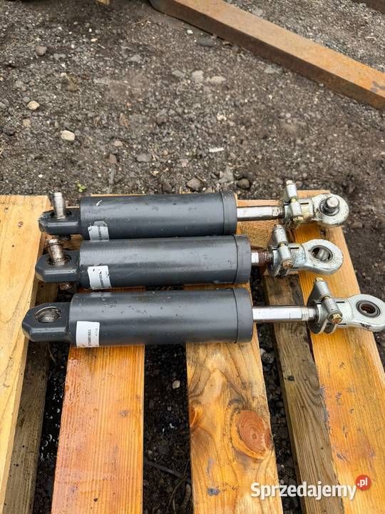 Hydrauliczny siłownik 51704901603