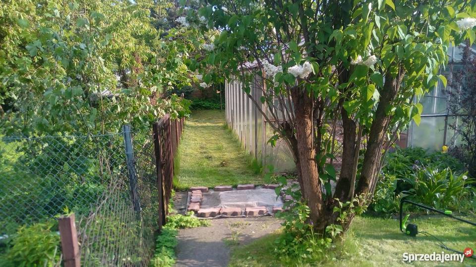 Działka rekreacyjna ROD im A Mickiewicza śląskie Częstochowa