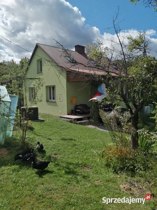 DOM W CICHYM MIEJSCU POD LASEM 20 MINUT MIASTA Sprzedaż podkarpackie Chmielnik