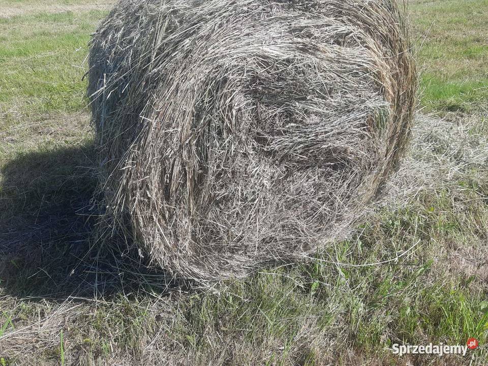 Balot baloty siano 2026 ekologiczne pomorskie Gorzyno