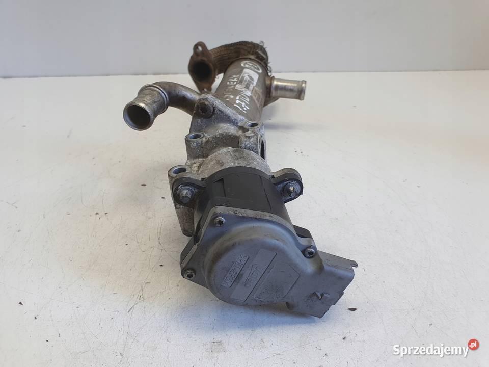 Land Rover Discovery III 27 TD V6 ZAWÓR EGR Rudka