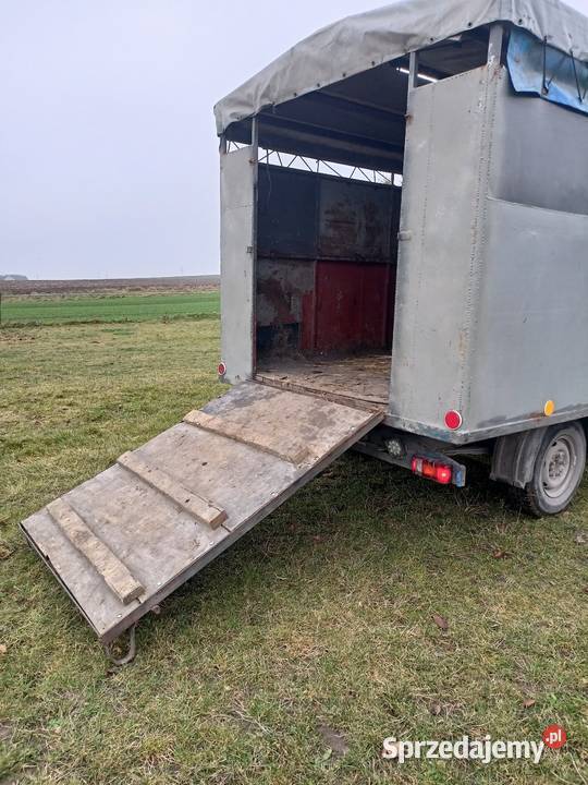 Sprzedam Mercedesa kaczke Chełm