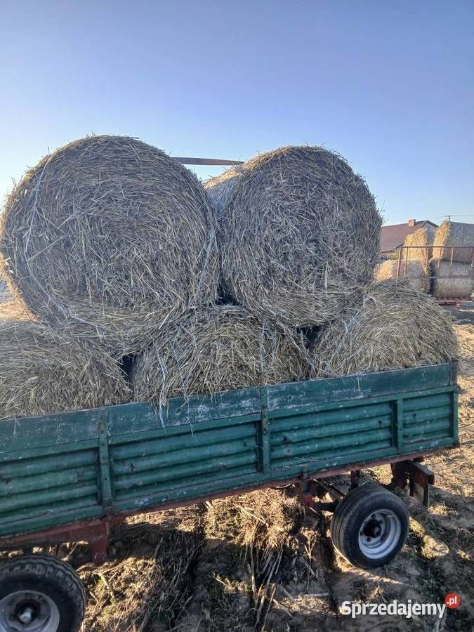Sprzedam słomę