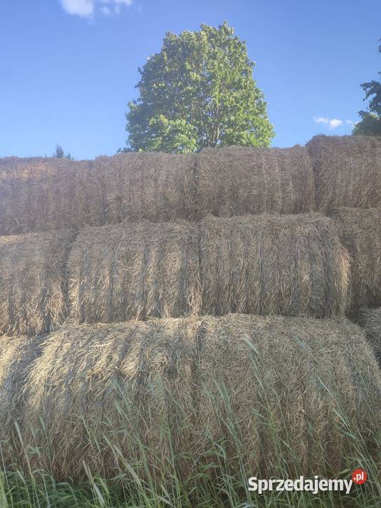 Bele Słoma 120x120 35zl Biała Podlaska