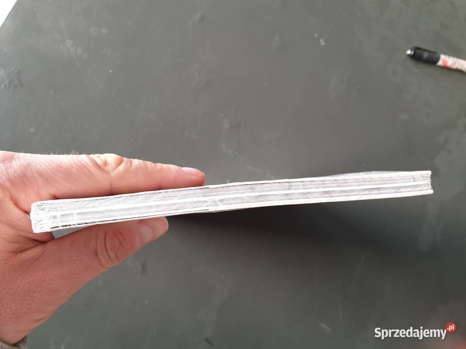 The Superior SpiderMan Lud Goblinów Gdynia