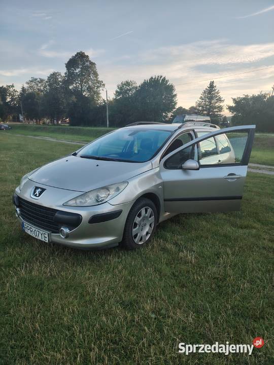 Peugeot 307 manualna