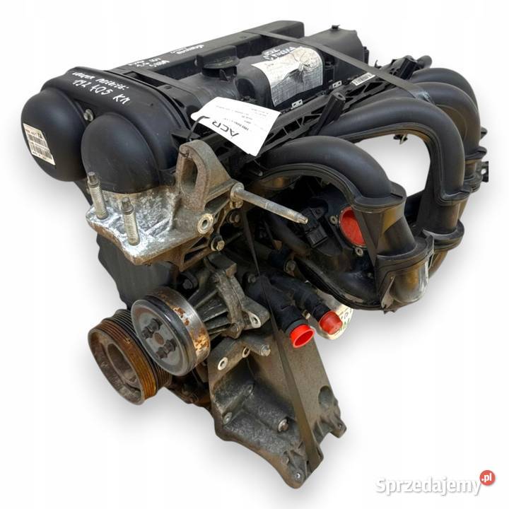 SILNIK SHDA Ford Focus II MK2 C C 16 16V 100 Chełm