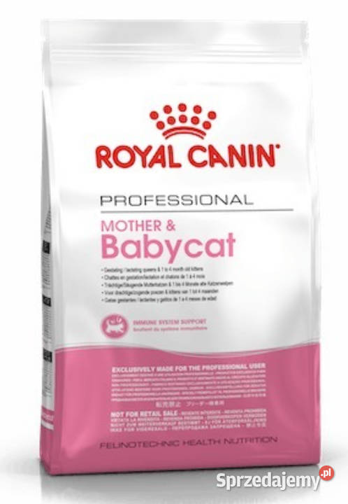 Każda RC Brit Maine Coon 15 Worek Kitten Adult Warszawa