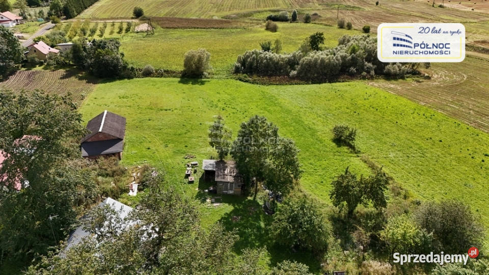 Siedlisko na Mazurach węzeł S61 288ha asfalt warmińsko-mazurskie Długie