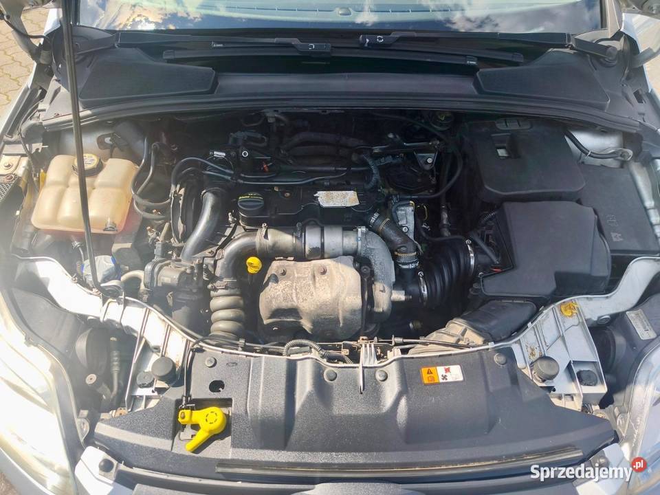 Ford Focus Trend 16 TDCi MR 11 E5 95 2012r 95KM Wrocław