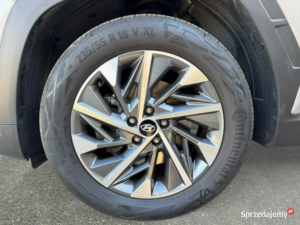 Hyundai Tucson 16 TGDi 48V Executive 2WD DCT Z mazowieckie Warszawa