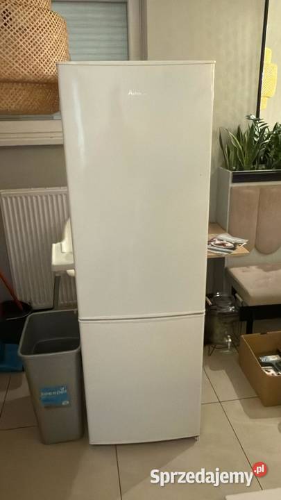 Lodówka Amica wolnostojaca Lodówki i zamrażarki Poznań sprzedam